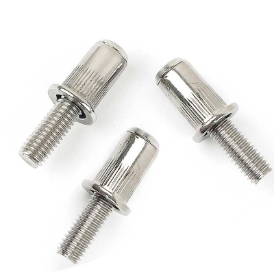 Stainless Steel Rivet Studs